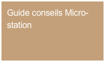 Guide conseils Micro-station
